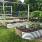 The Benefits of raised Beds in a Family Garden