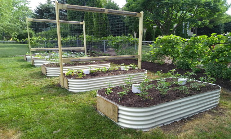 The Benefits of raised Beds in a Family Garden